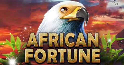 African Fortune